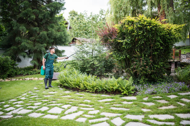 Best Local Pest Control Services  in Holland, MI