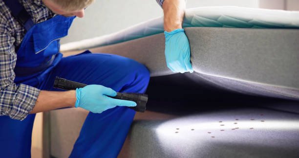 Reliable Holland, MI Pest Control Solutions