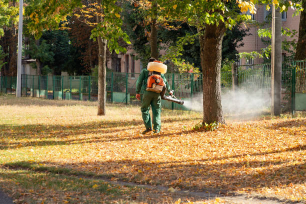 Best Mosquito Control Services  in Holland, MI
