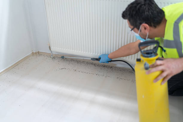 Best Flea Control Services  in Holland, MI